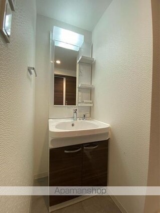 ＳーＲＥＳＩＤＥＮＣＥ中新町ａｖｅｌｉｓ[1LDK/35.36m2]の洗面所