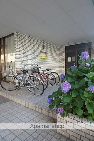 プレーンコートのその他写真