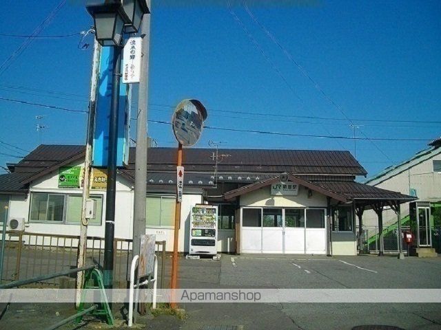コスモスの周辺写真