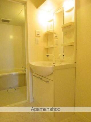 テラス新中通[2LDK/56.5m2]の洗面所