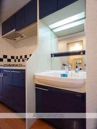 プレサンス泉セントマーク[1K/20.72m2]の洗面所