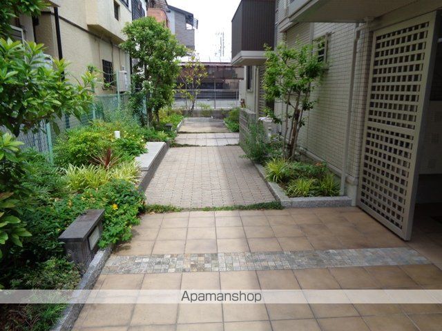 Mauris Rutrumの周辺写真