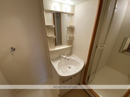 ルシェリア[1LDK/40.61m2]の洗面所