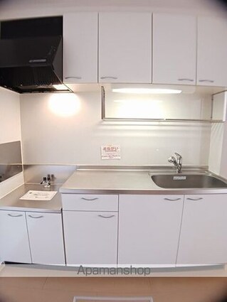 トラスト・コート[2DK/46.24m2]のキッチン