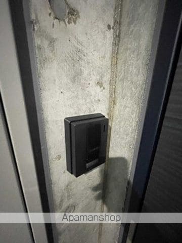 マーカスノースミラーのその他写真