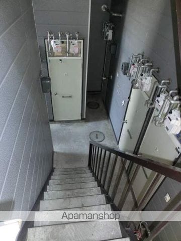 ノーステリアのその他写真
