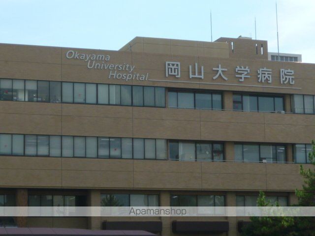 ライオンズマンション岡山医大南の周辺写真