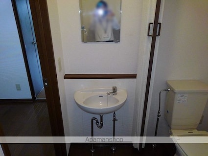 カリーテ飛翔[1K/26.4m2]の洗面所