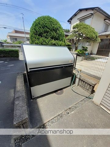 サンセベリアのその他写真