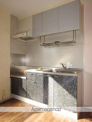 アベニューミキＢ棟[2DK/46.75m2]のキッチン