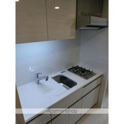 パークアクシス東高円寺[1R/27.11m2]のキッチン