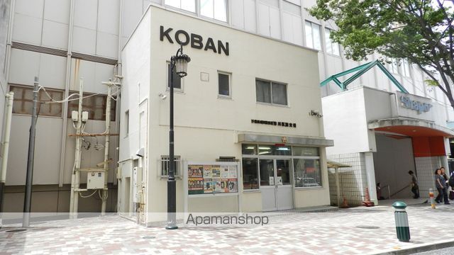 市川プラザの周辺写真