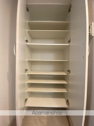 ＳーＲＥＳＩＤＥＮＣＥ中新町ａｖｅｌｉｓ[1K/29.04m2]の収納