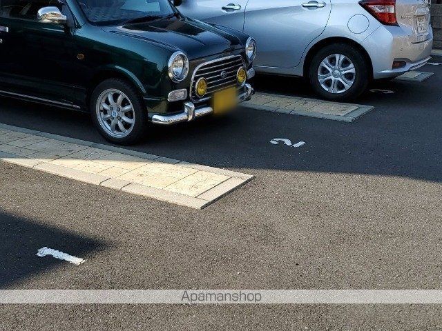 レオネクストサルビアのその他写真