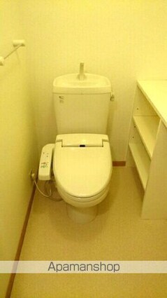 シャン・ミリューⅢ[1LDK/46.28m2]のトイレ