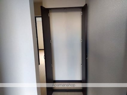 レオネクストシャムロック[1LDK/46.94m2]の収納