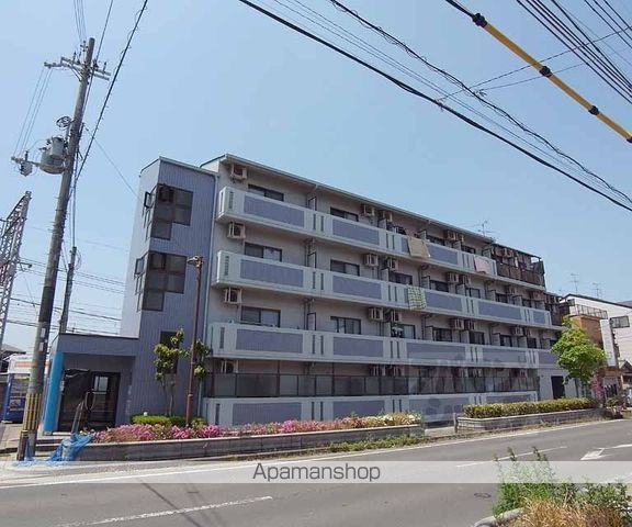 ACE in 向島