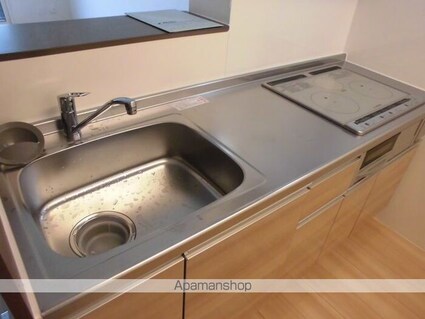 チェリーベルテ[1LDK/46.25m2]のキッチン