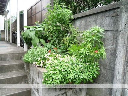 東京都杉並区方南１丁目[1K/19.87m2]の共用部3