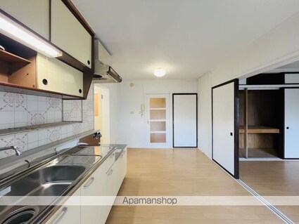 ヴィラナリー函館３号棟（ヴィラナリーハコダテサンゴウトウ）[2DK/50.69m2]の内装4