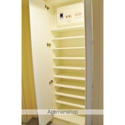 パークアクシス豊洲キャナル[1LDK/38.79m2]の収納