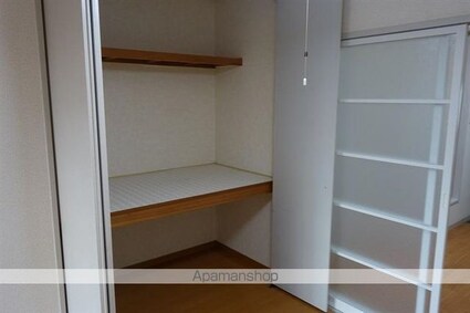 ディアスセフィーラ９５[1K/31.7m2]の収納