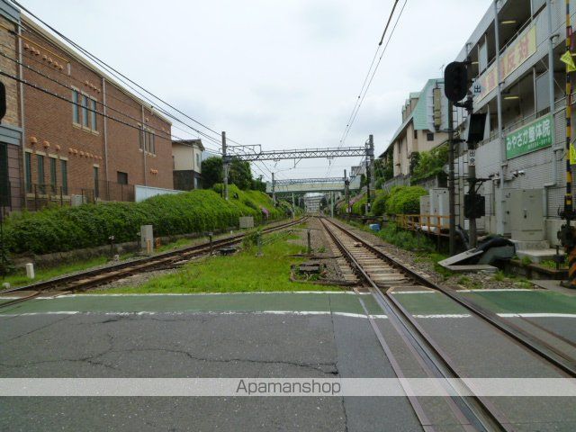 プルメリアの周辺写真