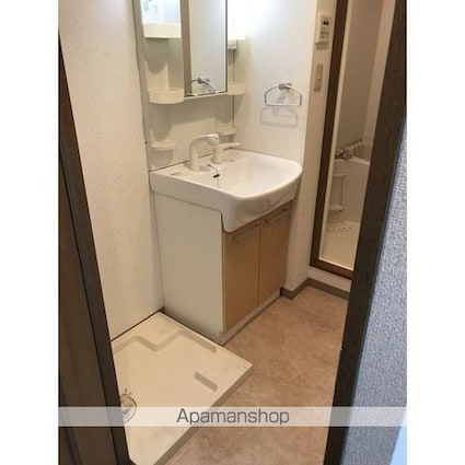 シティライフ星ヶ丘[1K/24.99m2]の洗面所