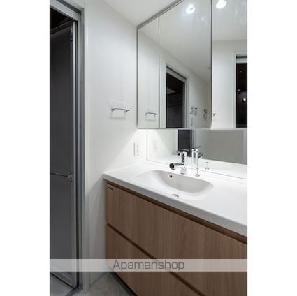 グランカーサ平井[2SLDK/63.36m2]の洗面所