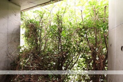 東京都台東区上野桜木１丁目[1R/24.19m2]のその他部屋・スペース