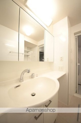 ドルチェヴィータ[1LDK/45.54m2]の洗面所