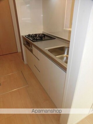 シャン・ノールⅩⅦ[1LDK/45.09m2]のキッチン