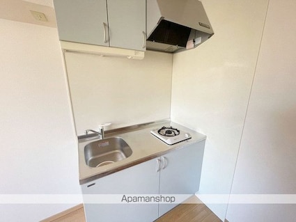 ミナミ大路ハイツ　Ａ[1DK/43.33m2]のキッチン