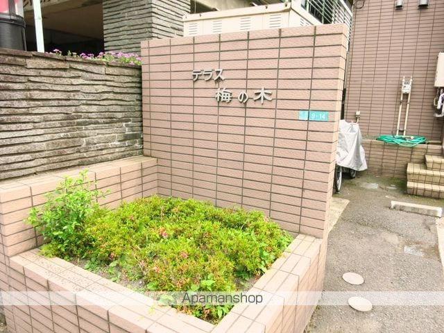 テラス梅の木の玄関写真