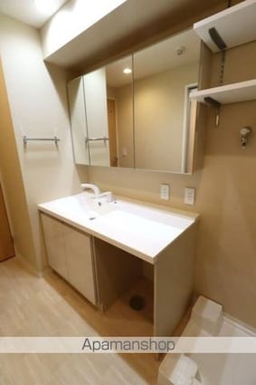 ＰＬＵＭ　ＶＩＬＬＡＧＥ[2LDK/56.85m2]の洗面所