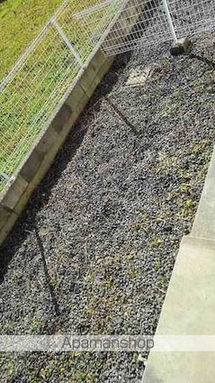 ブレ・リヴェールアンジュ[2DK/44.67m2]のバルコニー