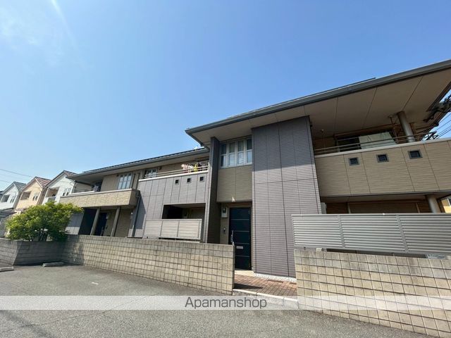 アマルフィY