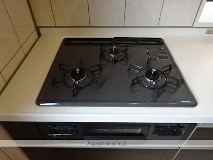 Ｓｔａｒ　Ｄｕｓｔ　Ｈｉｌｌｓ[2LDK/67.23m2]のその他設備