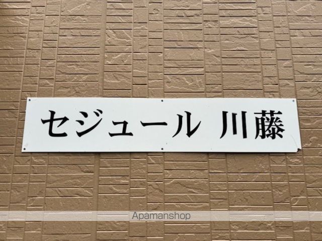 セジュール川藤のその他写真