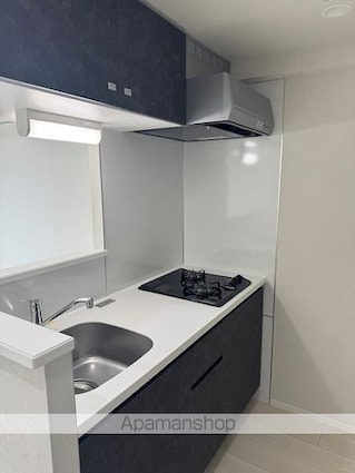 メインステージ板橋志村Ⅲ[1LDK/35.95m2]のキッチン