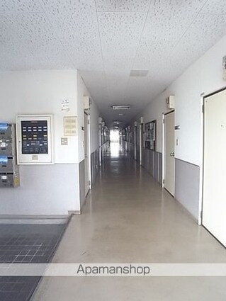 石井マンションピーコック[1K/17.62m2]のエントランス