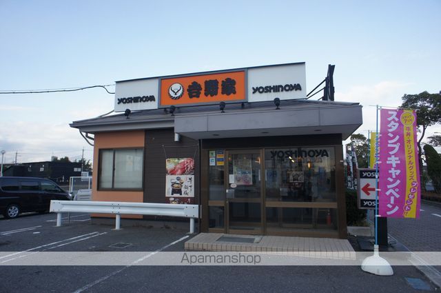 プリムローズ二色IIの周辺写真