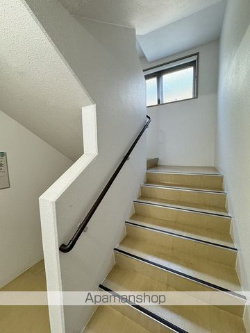 PLAN DOLLのその他写真