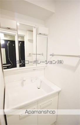 スカイガーデン錦糸町[1LDK/41.91m2]の洗面所