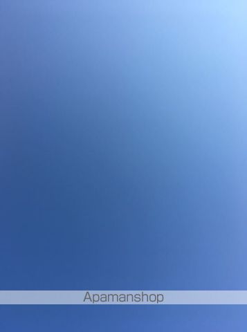 仲マンションのその他写真
