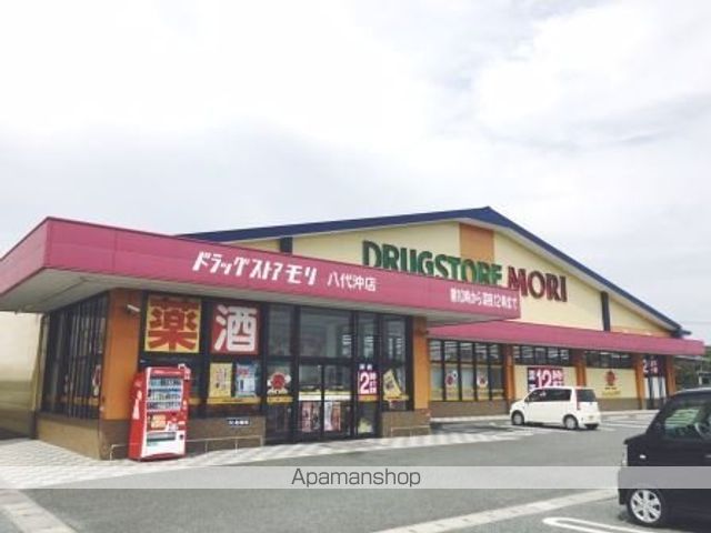 レオネクストT S西町の周辺写真