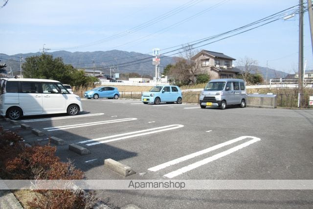 エヴァーグリーンのその他写真