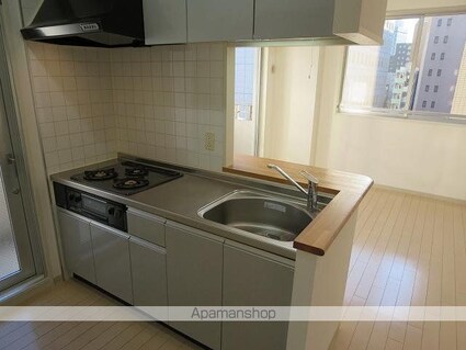 ドゥーエ新川[1LDK/40.33m2]のキッチン