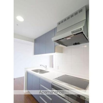 ＴＨＥ　ＴＯＫＹＯ　ＴＯＷＥＲＳ　ＭＩＤＴＯＷＥＲ[1LDK/52.45m2]のキッチン