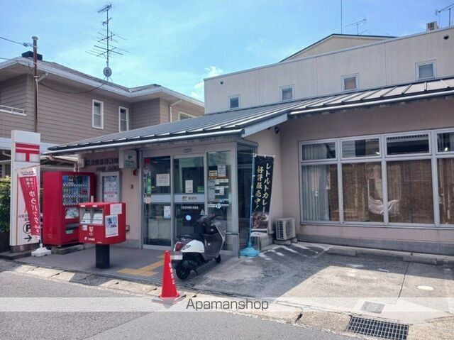 コスモスの周辺写真